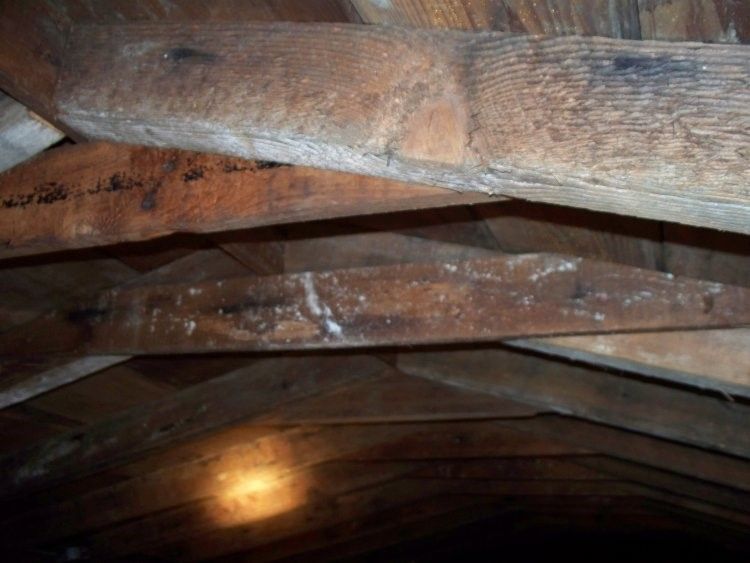 local roofing local roofing